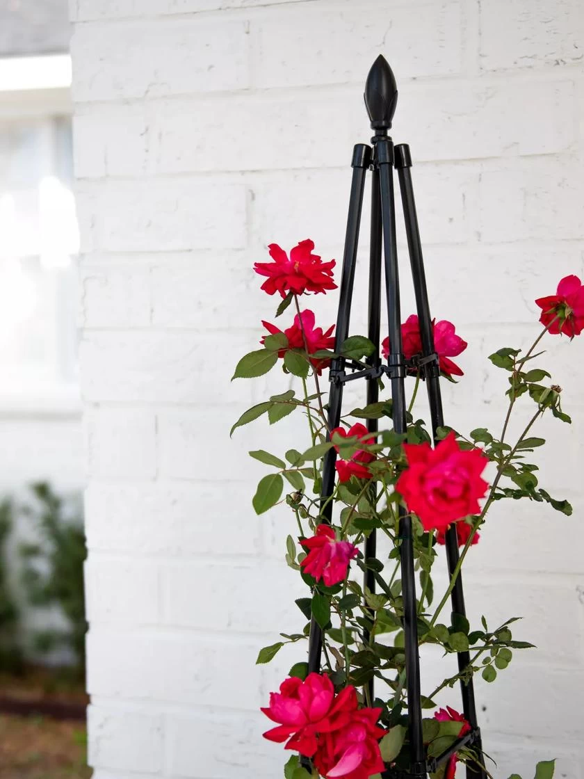 Teardrop Teepee Trellis, 47.25" 4 Teardrop Teepee Trellis, 47.25" - Image 2