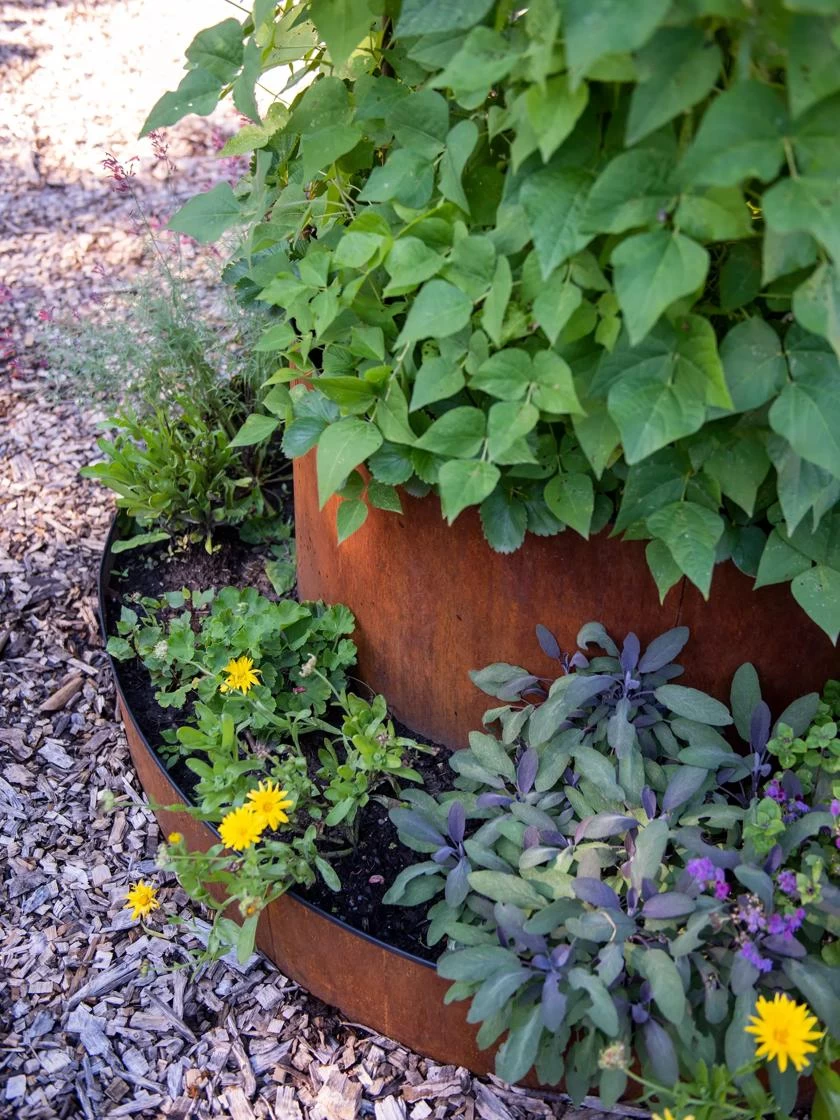 Birdies™ Corten Steel Tiered Round Raised Bed Kit, Tall 5 Birdies™ Corten Steel Tiered Round Raised Bed Kit, Tall - Image 3