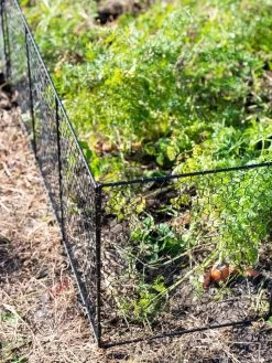 Chicken Wire Critter Fence, 16" High -Gardenhaus Shop 8613249 0309