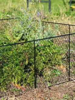 Chicken Wire Critter Fence, 16" High -Gardenhaus Shop 8613249 0352