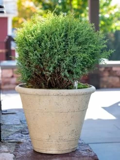 Self-Watering LavaStone® Anson Pot -Gardenhaus Shop 8613255 0144