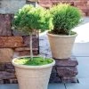 Self-Watering LavaStone® Anson Pot 1 Self-Watering LavaStone® Anson Pot -Gardenhaus Shop 8613256 0124 self watering lavastone anson pot