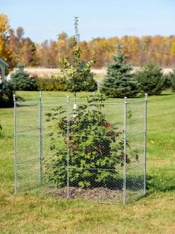 Tall Chicken Wire Critter Fence Extension Panel, Set Of 2 19 Tall Chicken Wire Critter Fence Extension Panel, Set Of 2 -Gardenhaus Shop 8613260 0030