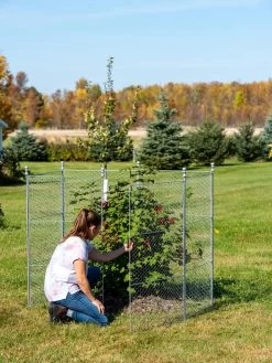 Tall Chicken Wire Critter Fence Extension Panel, Set Of 2 21 Tall Chicken Wire Critter Fence Extension Panel, Set Of 2 -Gardenhaus Shop 8613260 0044