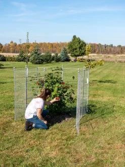 Tall Chicken Wire Critter Fence Extension Panel, Set Of 2 20 Tall Chicken Wire Critter Fence Extension Panel, Set Of 2 -Gardenhaus Shop 8613260 0090