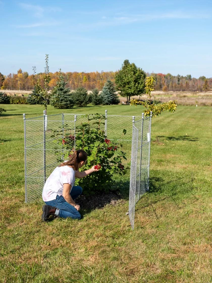 Tall Chicken Wire Critter Fence Extension Panel, Set Of 2 7 Tall Chicken Wire Critter Fence Extension Panel, Set Of 2 - Image 5