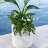 Arden Round Planter -Gardenhaus Shop 8613267 0112 arden round planter