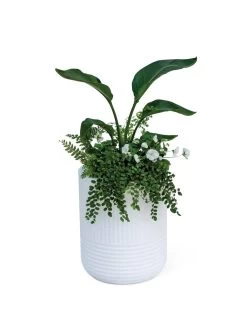 Arden Round Planter 17 Arden Round Planter -Gardenhaus Shop 8613267 0115