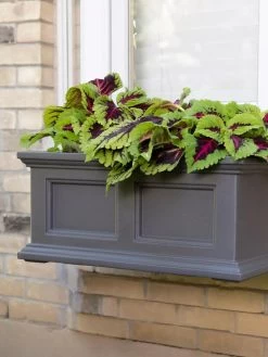 Fairfield Self-Watering Window Box, 2’ -Gardenhaus Shop 8613268 08V tif