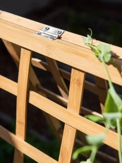 Bambo A Frame Plant Support, 30" X 42.5" 15 Bambo A Frame Plant Support, 30" X 42.5" -Gardenhaus Shop 8613310 6525