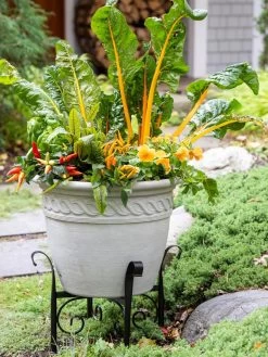 Covington Adjustable Plant Stands -Gardenhaus Shop 8613347 0113