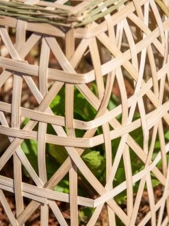 Bamboo Cloche, Set Of 2 -Gardenhaus Shop 8613351 0153