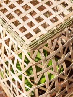 Bamboo Cloche, Set Of 2 -Gardenhaus Shop 8613351 0154