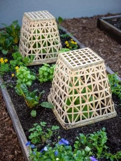 Bamboo Cloche, Set Of 2 -Gardenhaus Shop 8613351 6766