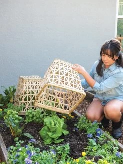 Bamboo Cloche, Set Of 2 -Gardenhaus Shop 8613351 6862