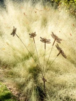 Flutterer Garden Stake 17 Flutterer Garden Stake -Gardenhaus Shop 8613372 0162