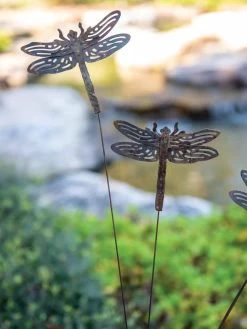 Flutterer Garden Stake 13 Flutterer Garden Stake -Gardenhaus Shop 8613372 0166