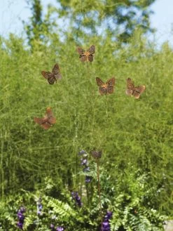 Flutterer Garden Stake 15 Flutterer Garden Stake -Gardenhaus Shop 8613372 01V tif