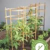Bamboo Tomato Cages, Set Of 3 1 Bamboo Tomato Cages, Set Of 3 -Gardenhaus Shop 8613426 7
