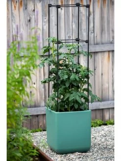 Oasis Self-Watering Tomato Planter With Trellis -Gardenhaus Shop 8613440 0373 3 4