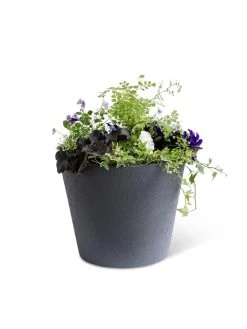 Self-Watering FiberStone Planters 20 Self-Watering FiberStone Planters -Gardenhaus Shop 8613676 8645