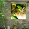 Butterfly Kiss Outdoor Wall Art -Gardenhaus Shop 8613998 02V butterfly kiss outdoor wall art