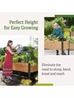 Elevated Planter Box, 2' X 8' -Gardenhaus Shop B00EOW8FHU raisedbed benefits