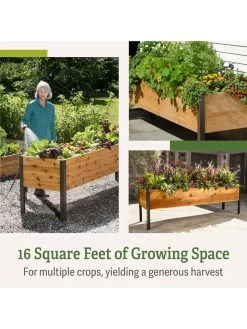 Elevated Planter Box, 2' X 8' -Gardenhaus Shop B00EOW8FHU raisedbed feature 2