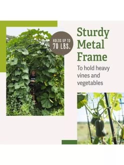 Titan Squash Tunnel -Gardenhaus Shop B07932DMCR plantsupport benefits 2