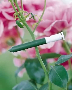 Garlic Clips, Set Of 25