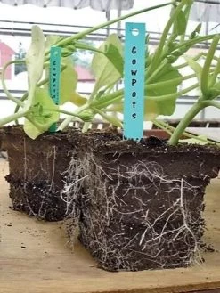 2-3/4" Square Cowpots 6-Packs, Set Of 4 -Gardenhaus Shop GS37034 05