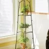 Branch Plant Stand