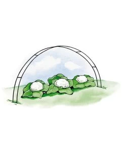 Super Hoops, Set Of 6 -Gardenhaus Shop GS39423 02S 3 4