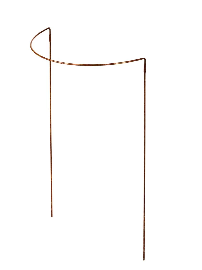 Jardin Half-Round Plant Supports, Set Of 2 4 Jardin Half-Round Plant Supports, Set Of 2 - Image 2