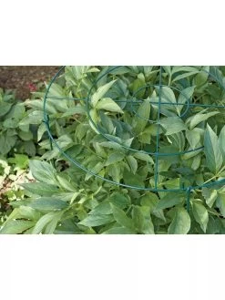 Grow Through Supports, Set Of 3 -Gardenhaus Shop GS40172 01 1