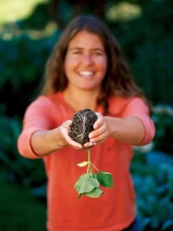 Deep Root Seedstarting System, Black 7 Deep Root Seedstarting System, Black -Gardenhaus Shop GSCOVSPR06D2 01