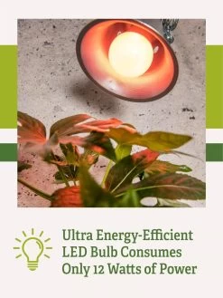 Miracle LED® Absolute Daylight™ Max Flowering Grow Light Bulb -Gardenhaus Shop Miracle Daylight Bulb 2