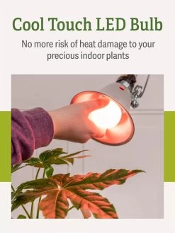 Miracle LED® Absolute Daylight™ Max Flowering Grow Light Bulb -Gardenhaus Shop Miracle Daylight Bulb 3