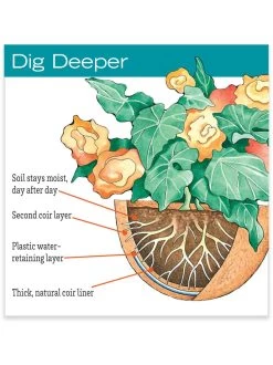 AquaSav™ Replacement Liners, Set Of 3 -Gardenhaus Shop hiw 38 583