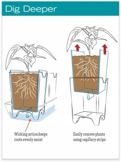 Stoneware Self-Watering Windowsill Planters, Set Of 2 11 Stoneware Self-Watering Windowsill Planters, Set Of 2 -Gardenhaus Shop hiw 8593943 jpg