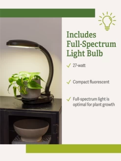 Agrobrite Desktop Plant Light 14 Agrobrite Desktop Plant Light -Gardenhaus Shop webimage Agrobrite Desktop